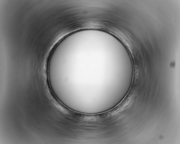 X0000102370843200808151833