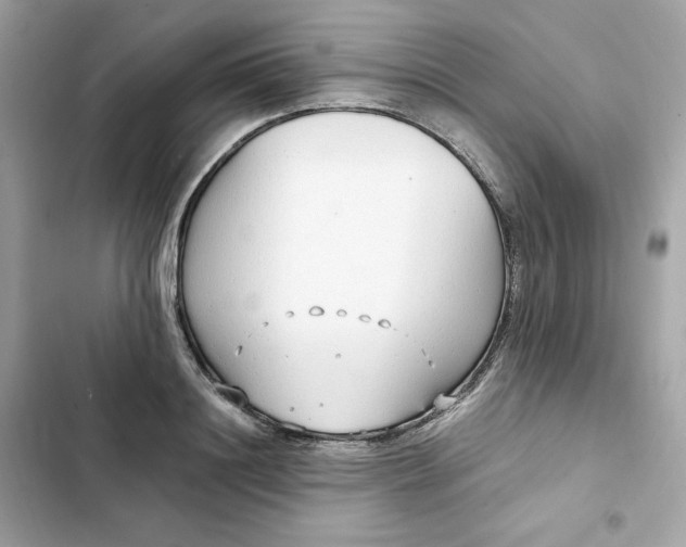 X0000102370844200808151833