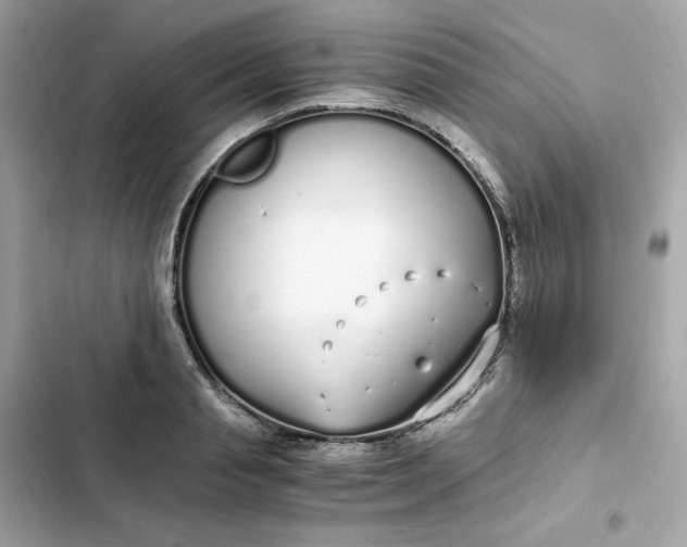 X0000102370845200808151833