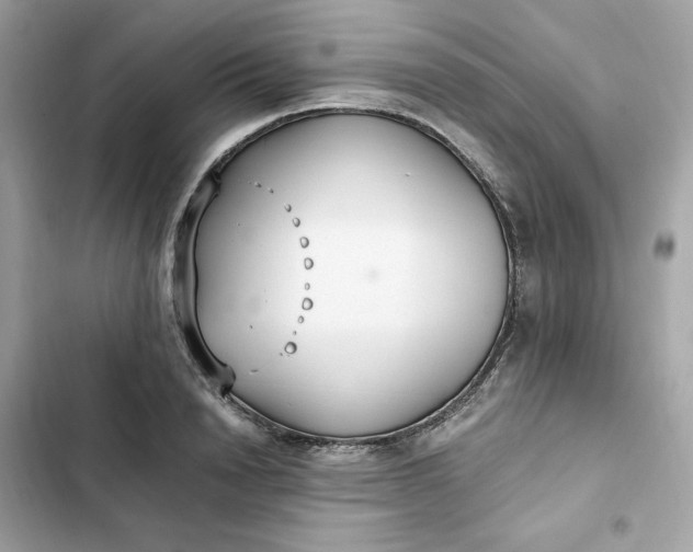 X0000102370846200808151833