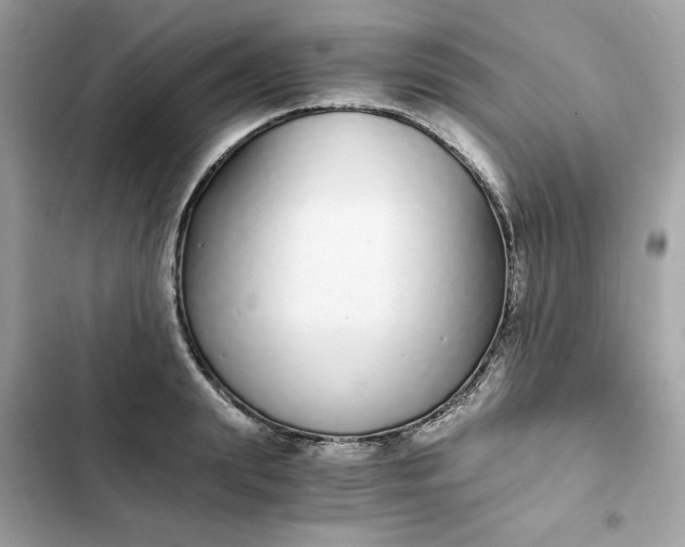 X0000102370847200808151833