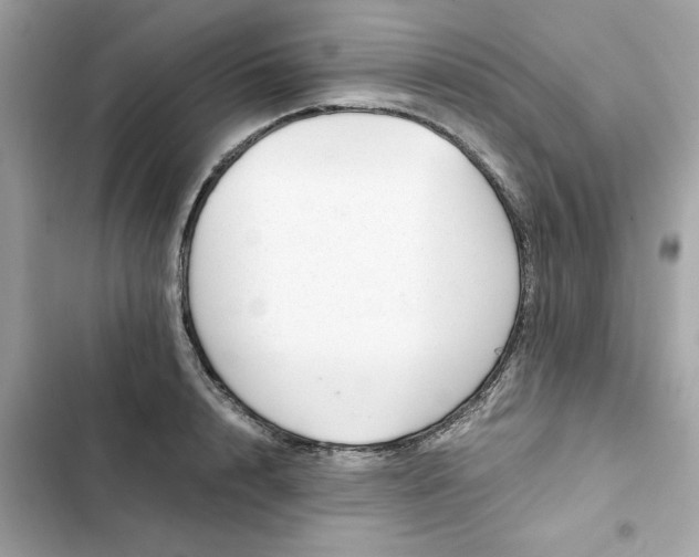 X0000102370848200808151833