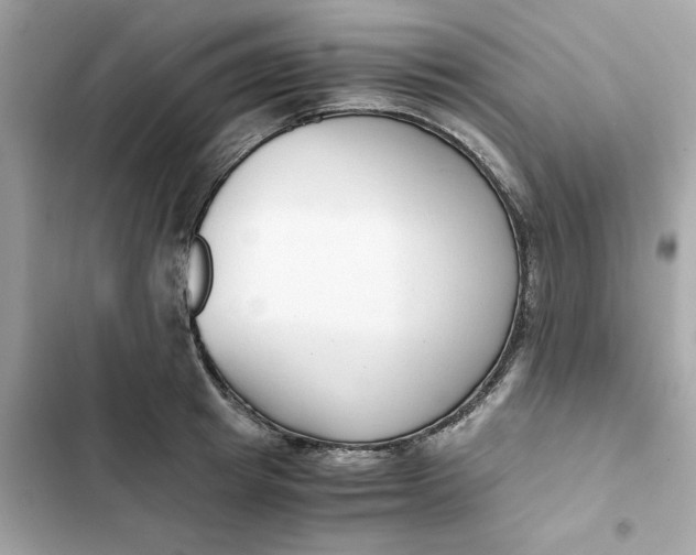 X0000102370849200808151833