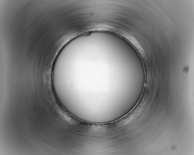 X0000102370850200808151833