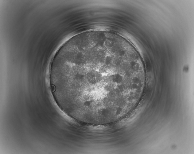 X0000102370851200808151833