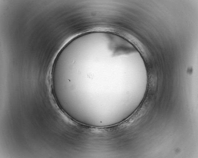 X0000102370852200808151833