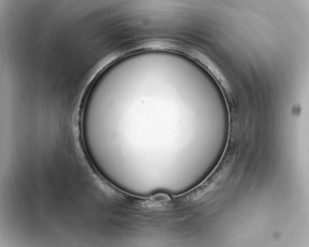 X0000102370853200808151833