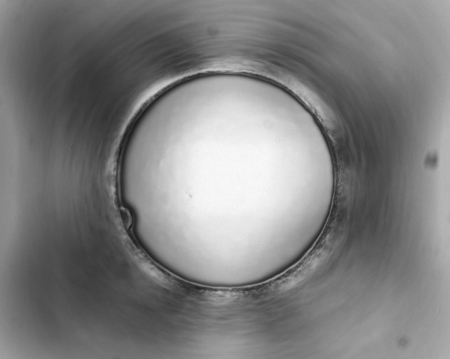 X0000102370854200808151833