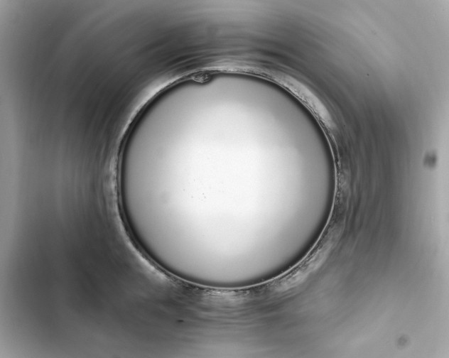 X0000102370855200808151833