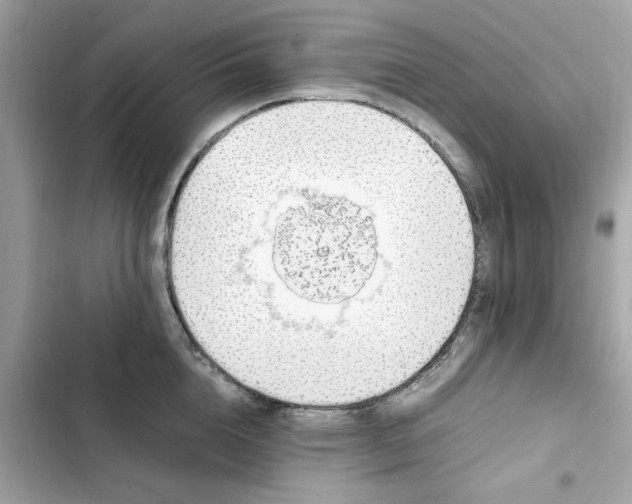 X0000102370856200808151833