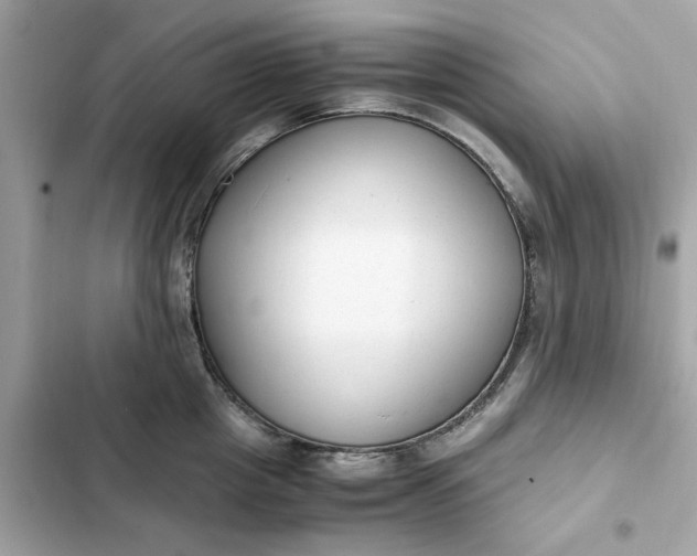 X0000102370857200808151833