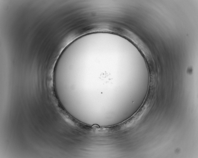 X0000102370858200808151833