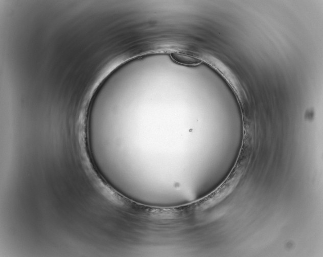 X0000102370859200808151833