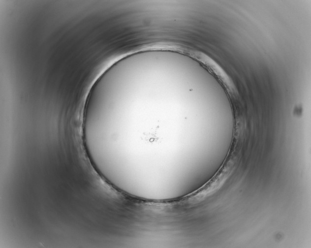 X0000102370860200808151833