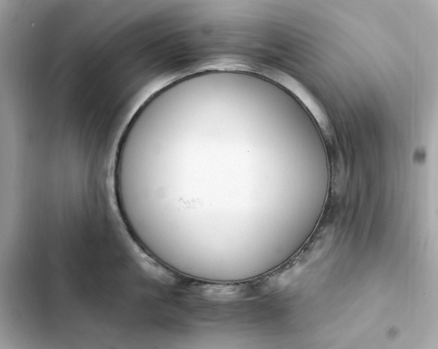 X0000102370861200808151833