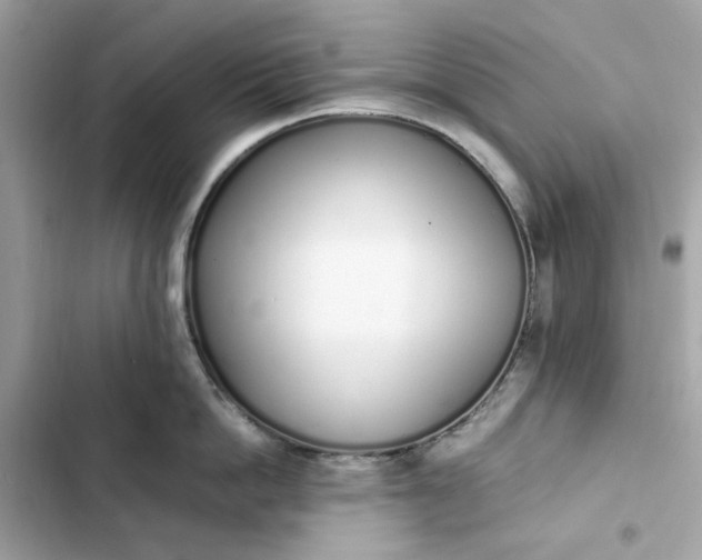 X0000102370862200808151833