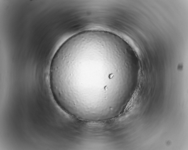 X0000102370863200808151833