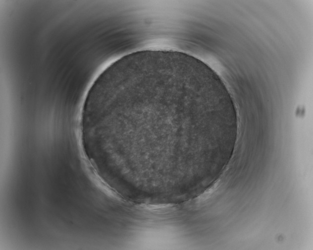 X0000102370864200808151833