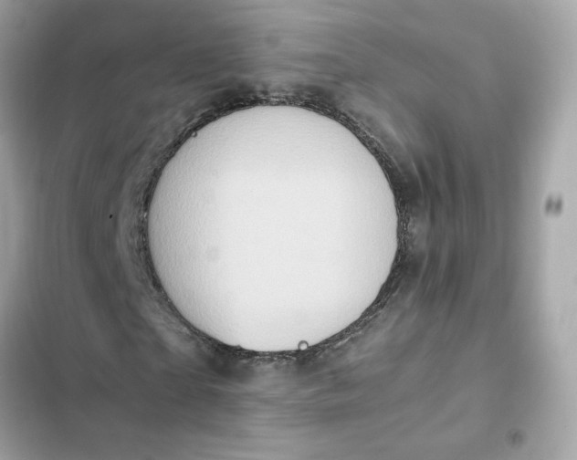 X0000102370865200808151833