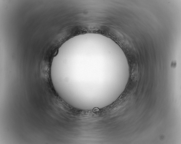 X0000102370866200808151833