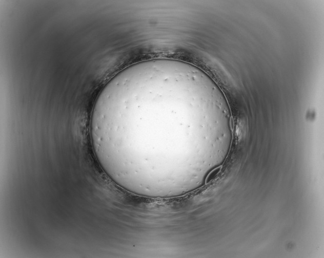 X0000102370867200808151832