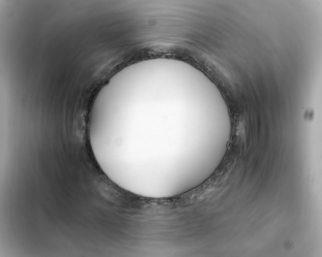 X0000102370868200808151832