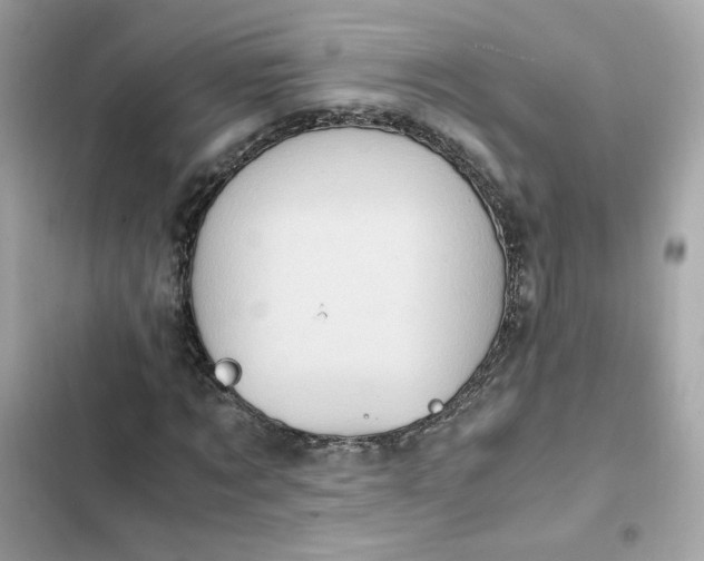 X0000102370869200808151832