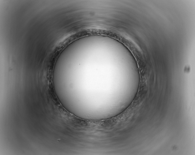 X0000102370870200808151832