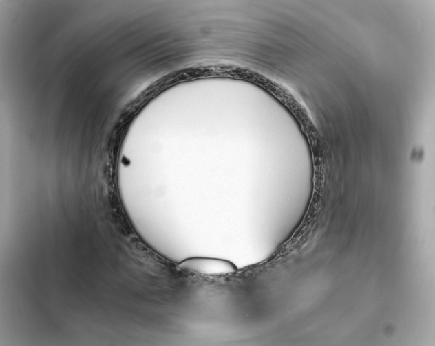 X0000102370871200808151832