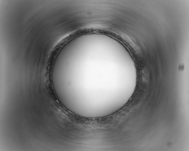 X0000102370872200808151832