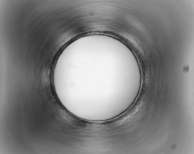 X0000102370873200808151832