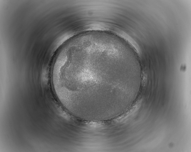 X0000102370874200808151832