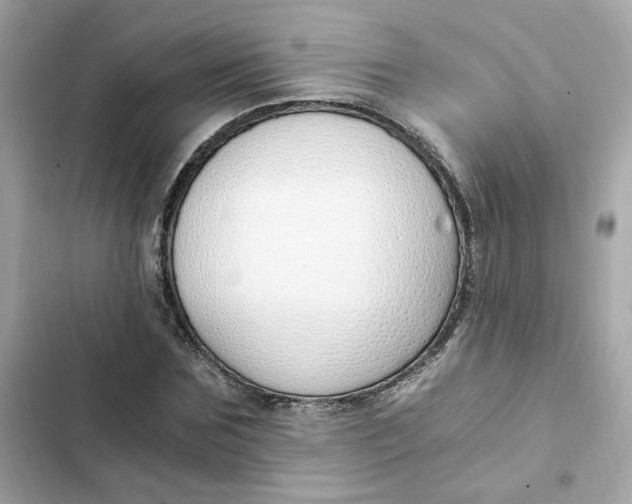 X0000102370875200808151832