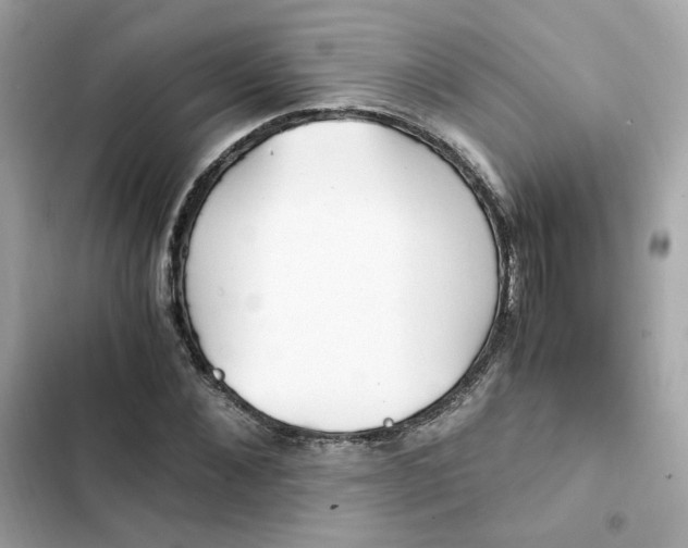 X0000102370876200808151832