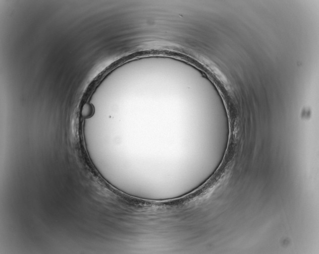 X0000102370877200808151832