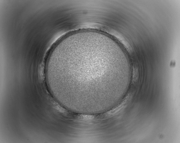 X0000102370878200808151832