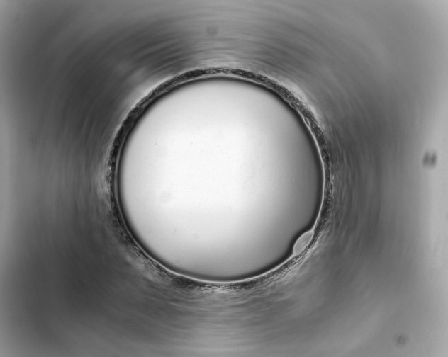 X0000102370879200808151832