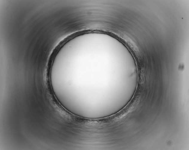 X0000102370880200808151832