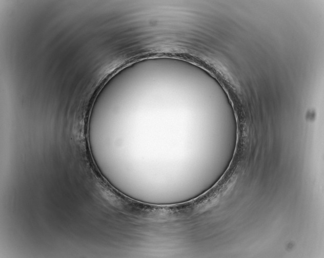 X0000102370881200808151832