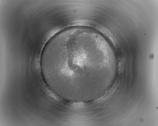 X0000102370882200808151832