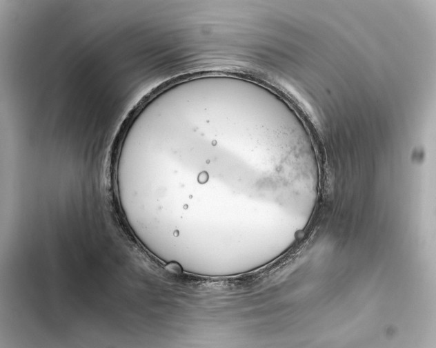 X0000102370883200808151832