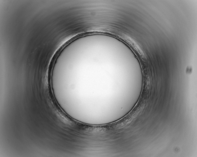 X0000102370884200808151832