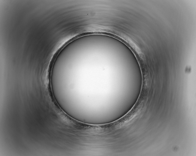 X0000102370885200808151832