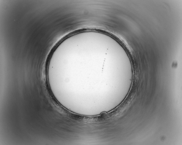 X0000102370887200808151832