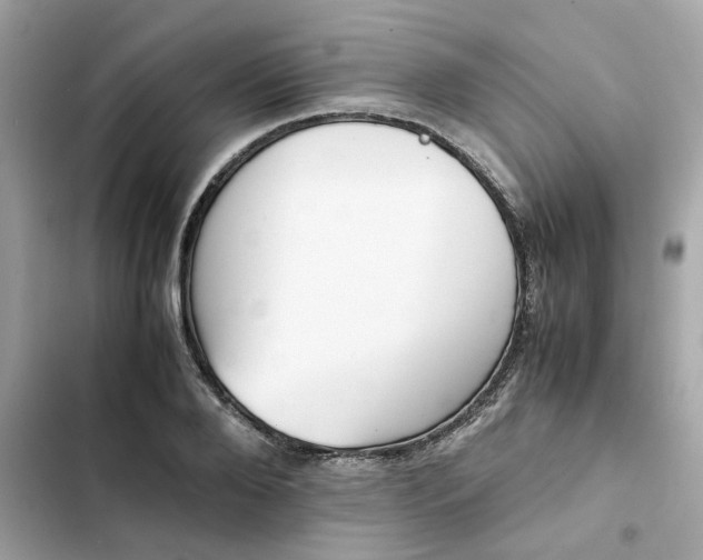 X0000102370888200808151832