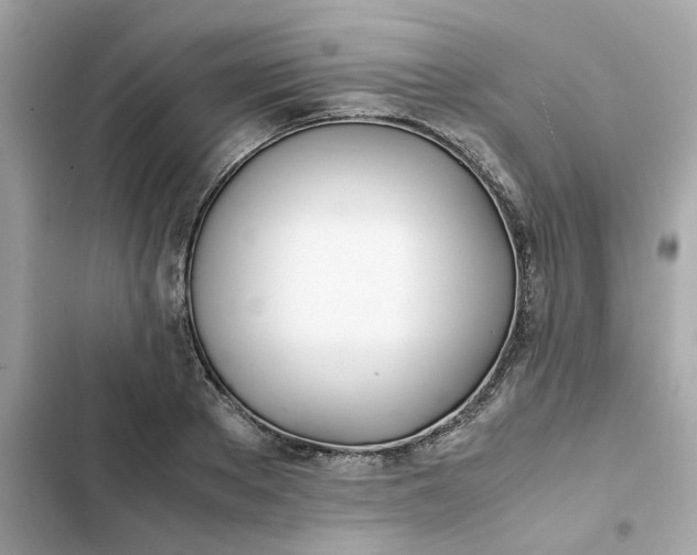 X0000102370889200808151832