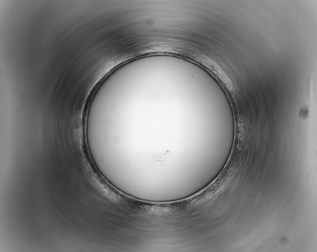 X0000102370890200808151832