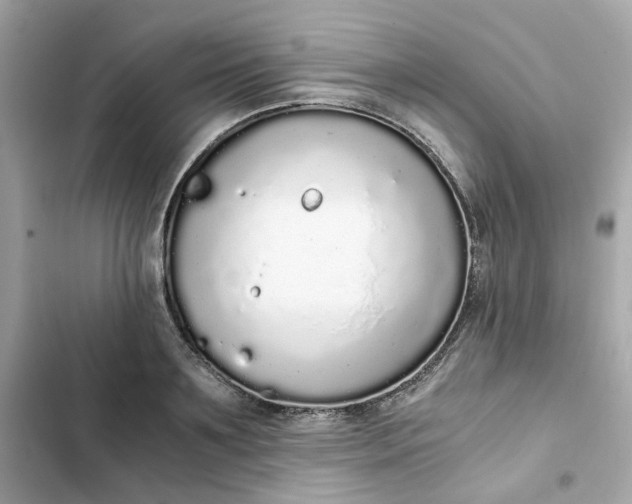 X0000102370891200808151832