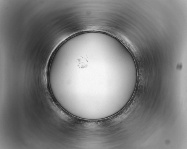 X0000102370892200808151832