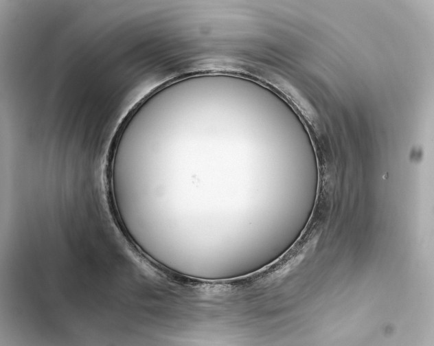 X0000102370893200808151832